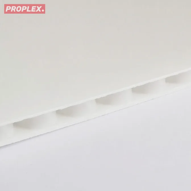 Płyta polipropylenowa PP struktura rdzenia plaster miodu biała 2,9 mm